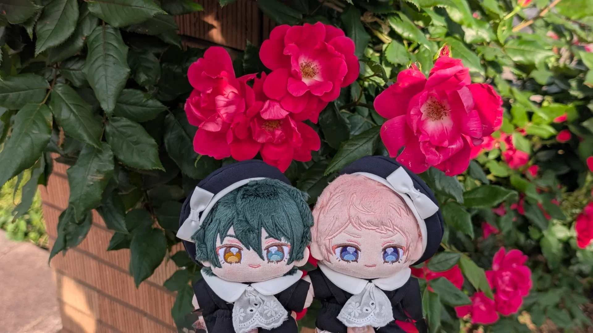 バラとぬい撮りは本当に癒やし