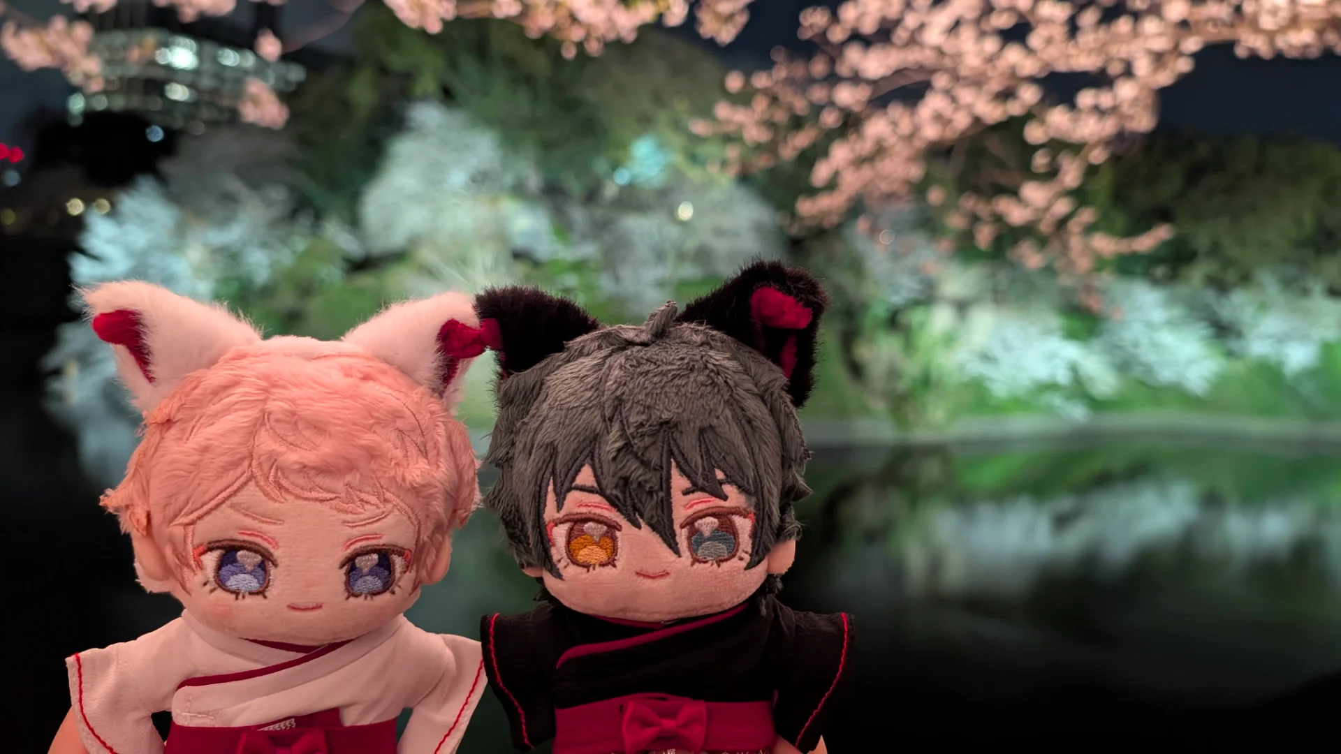 桜の季節、千鳥ヶ淵では鏡桜を見ることができます！
