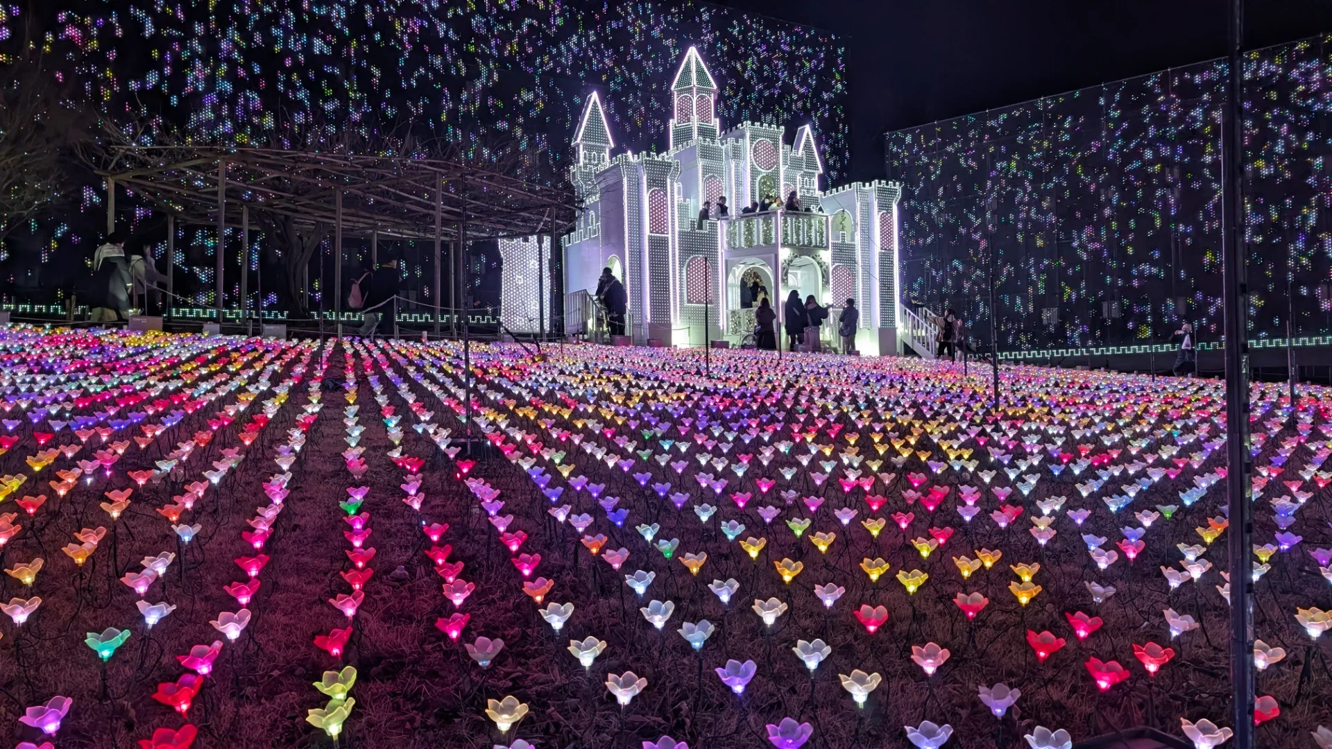 音楽に合わせて光る花々とお城