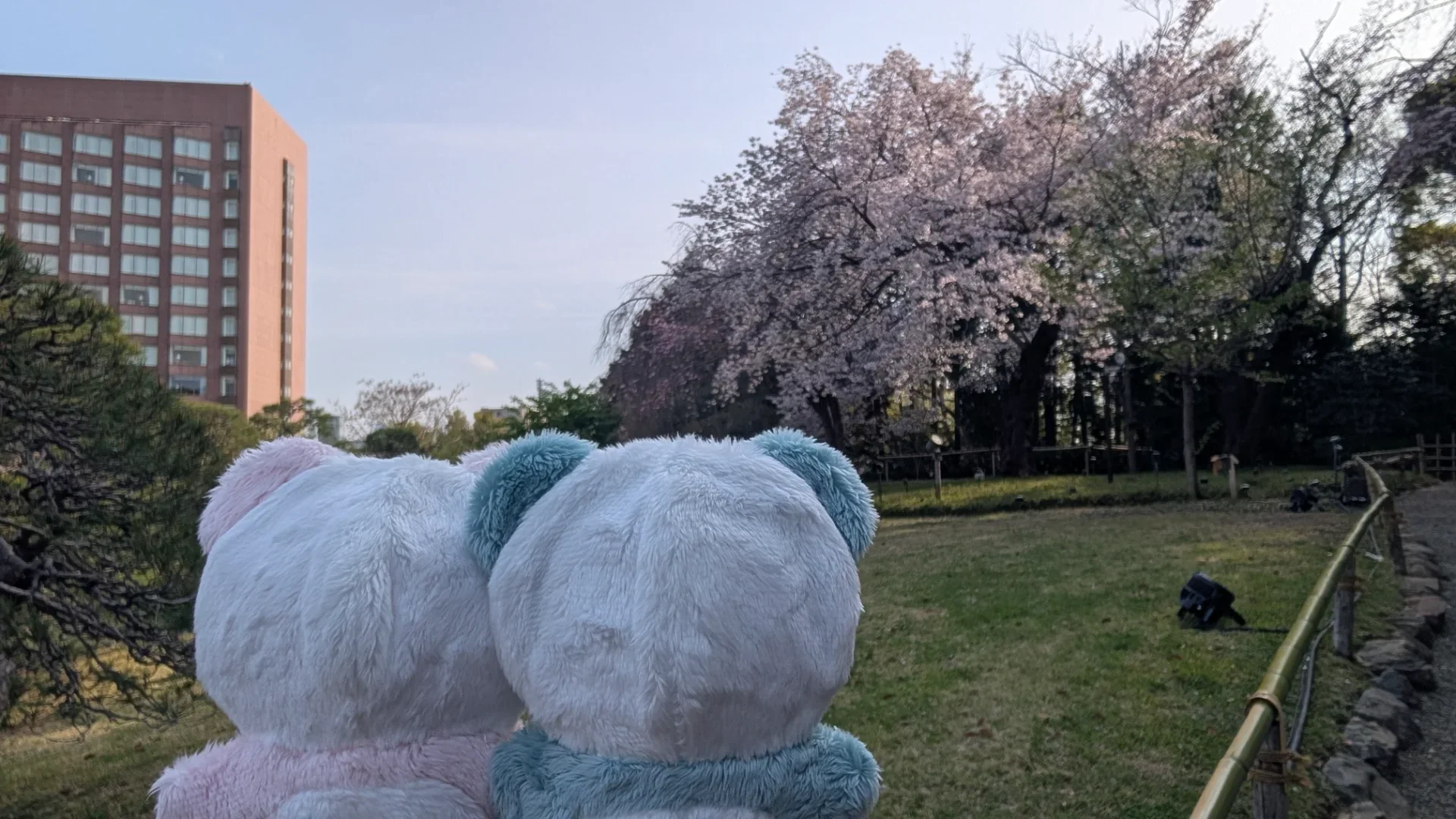 タクシー等を使ってしまうのもありです