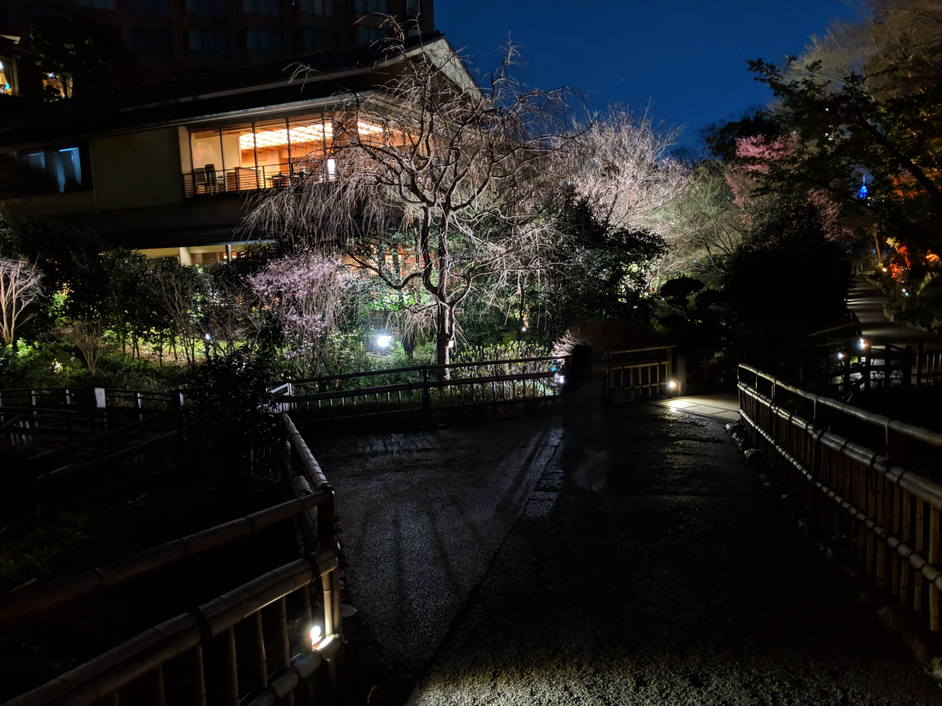 ライトアップされた橋の上も、美しい撮影スポットに。